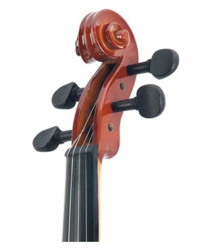 Intermusica